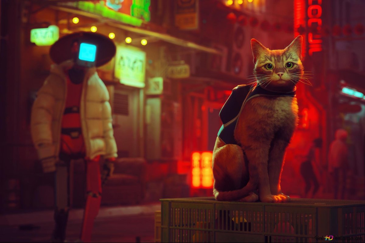 СТРЕЙ игра про кота