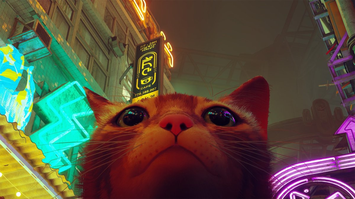 СТРЕЙ игра про кота