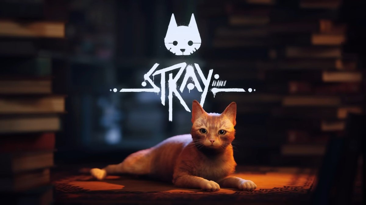 Stray 2022