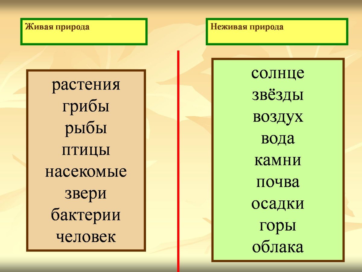 Живая и неживая природа