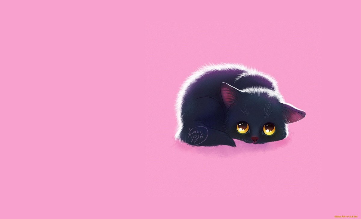 Котик на розовом фоне