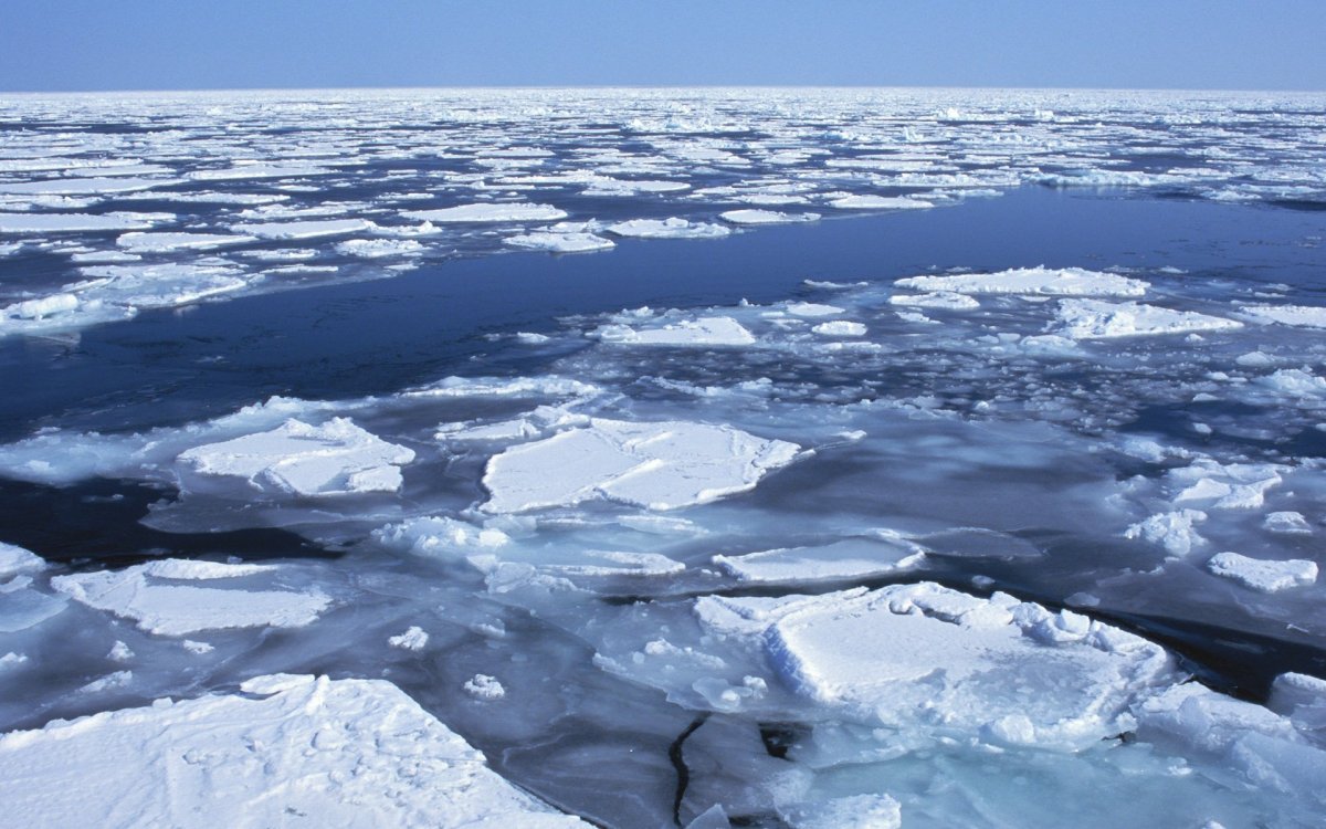 Море Лаптевых