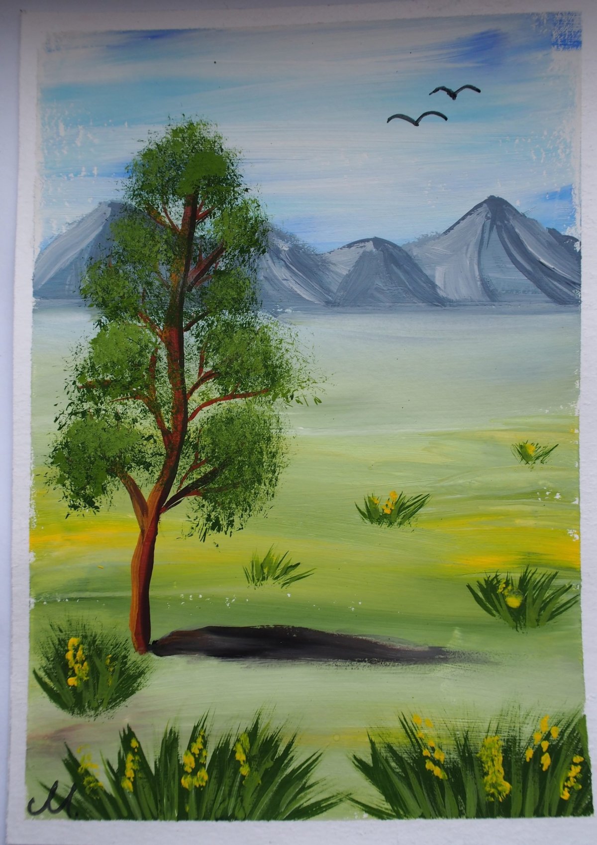 Рисунки природы