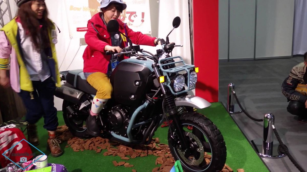 Honda бульдог