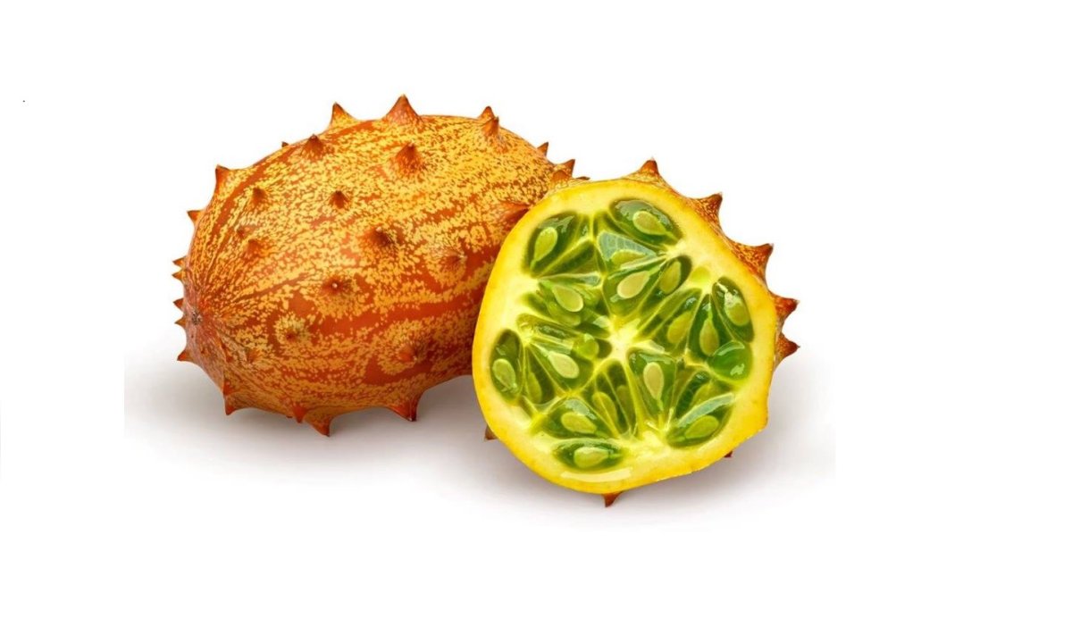 Cucumis metuliferus