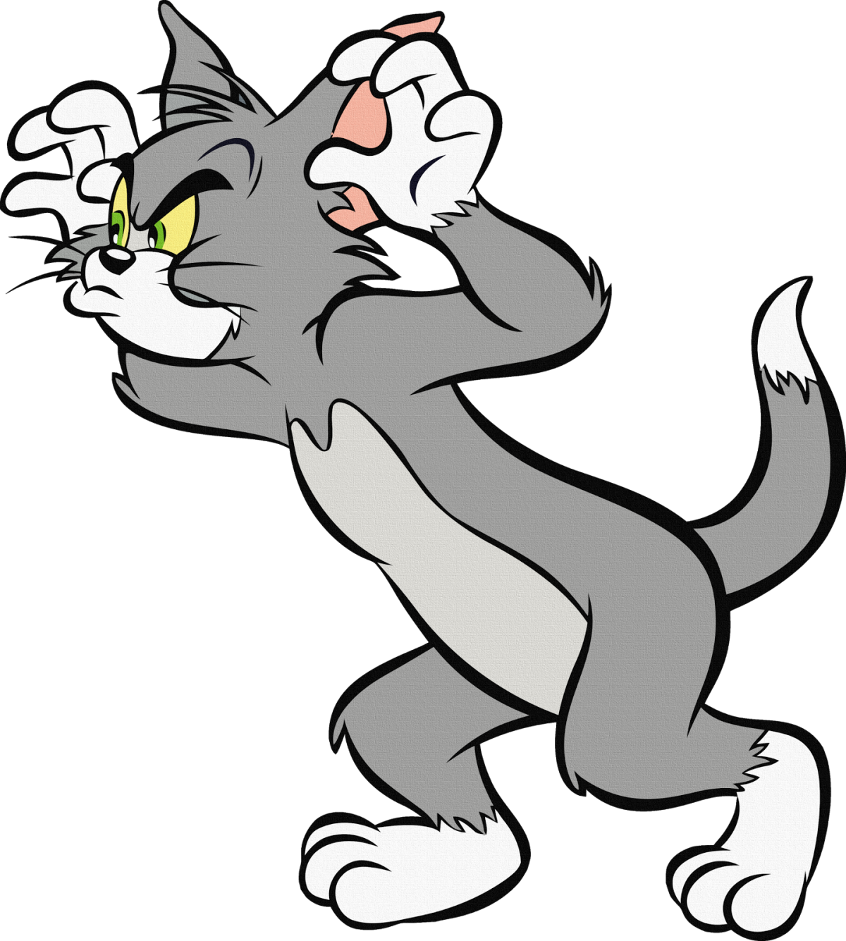 Tom and Jerry Tom