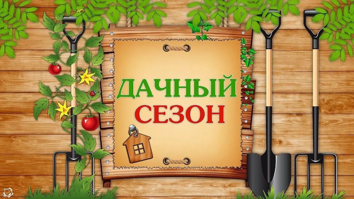 Дачный сезон открыт