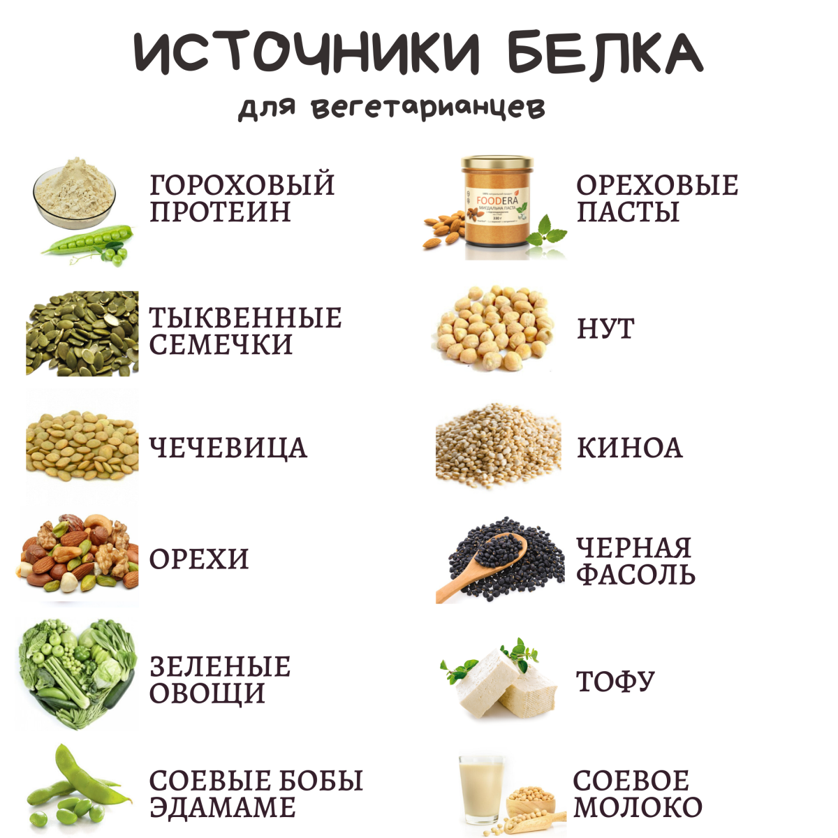 Таблица по содержанию белка в растительной пищи