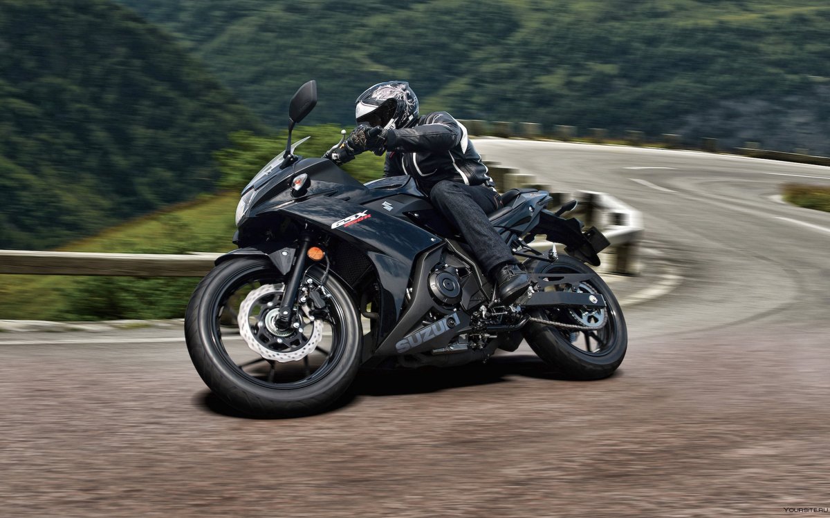 Gsx250r dl250