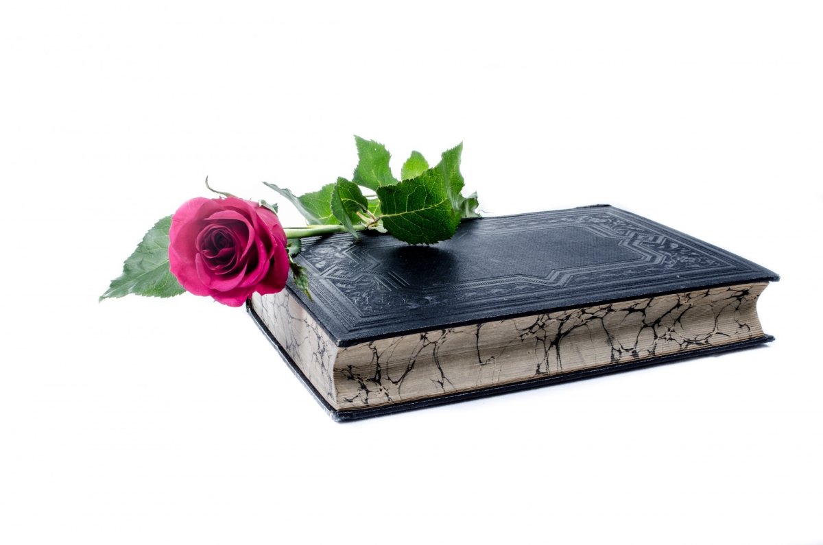 Книга с цветком на прозрачном фоне