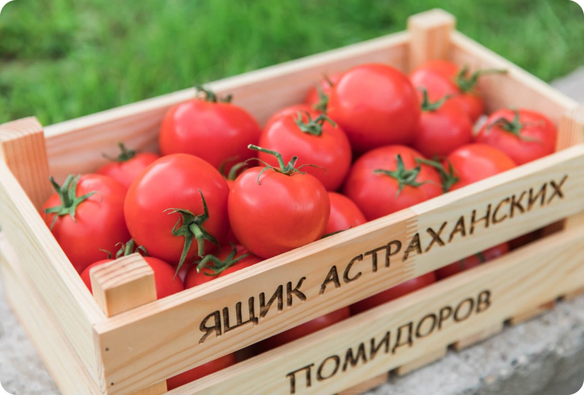 Астраханские помидоры