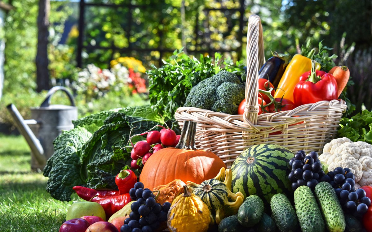 Баннер овощи и Арбуз