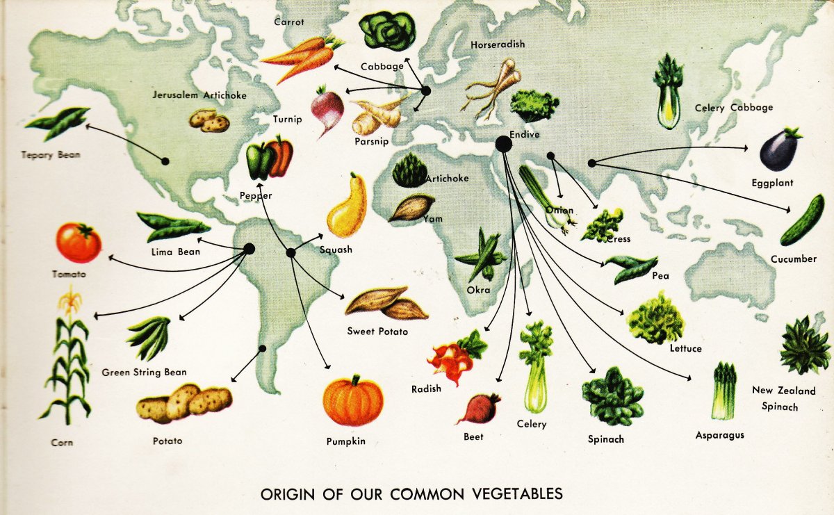 Родина овощей