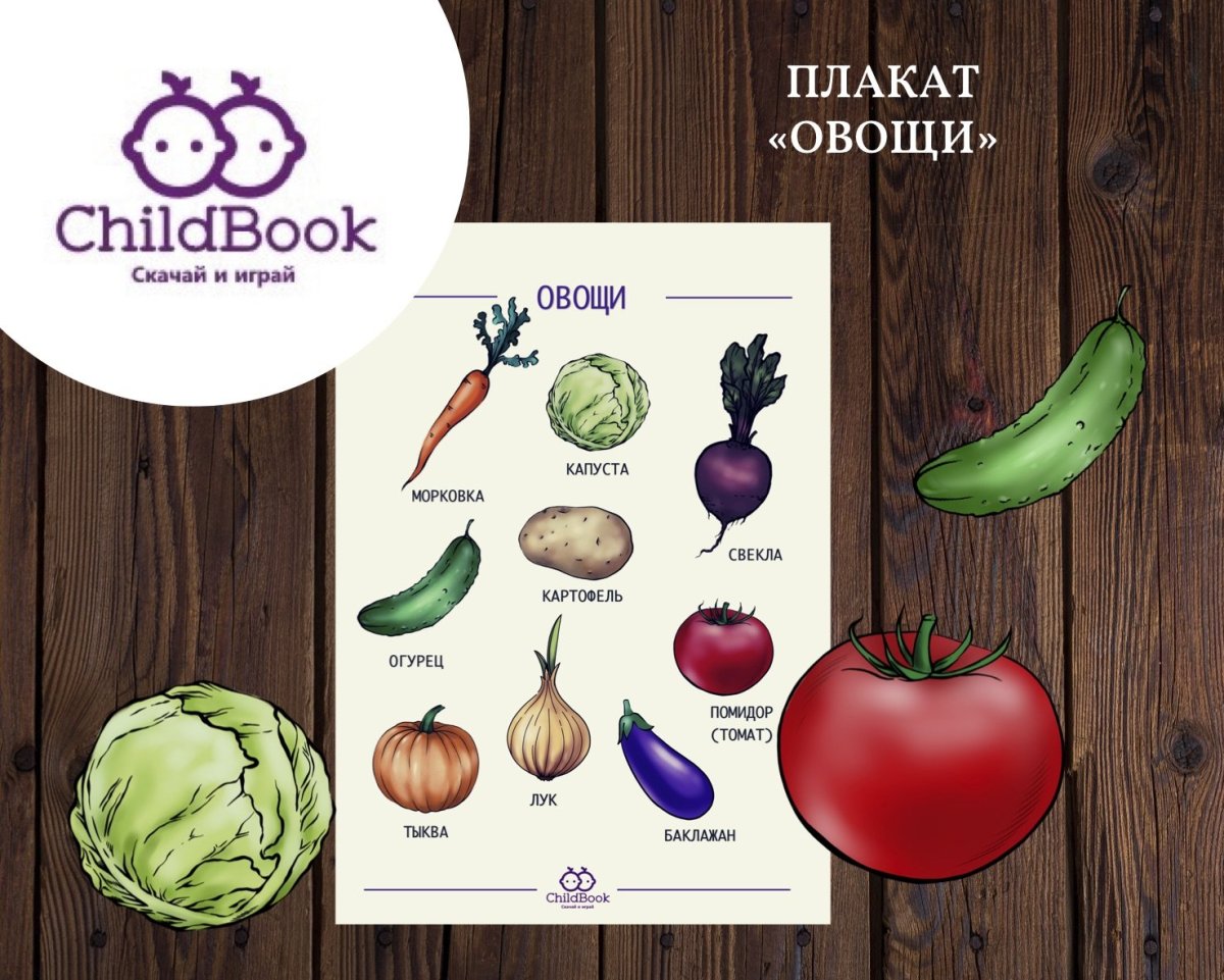 Овощи. Плакат