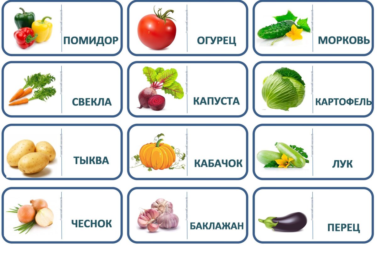 Овощи глобальное чтение