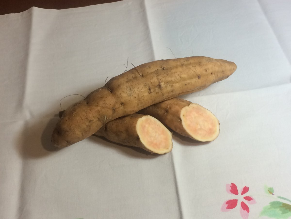 Продолговатый коричневый овощ