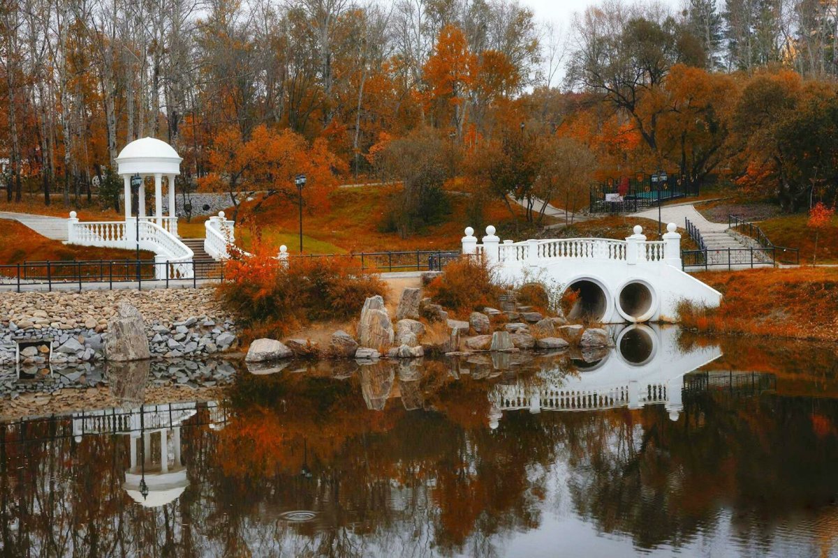 Пруд в парк Северный Хабаровск