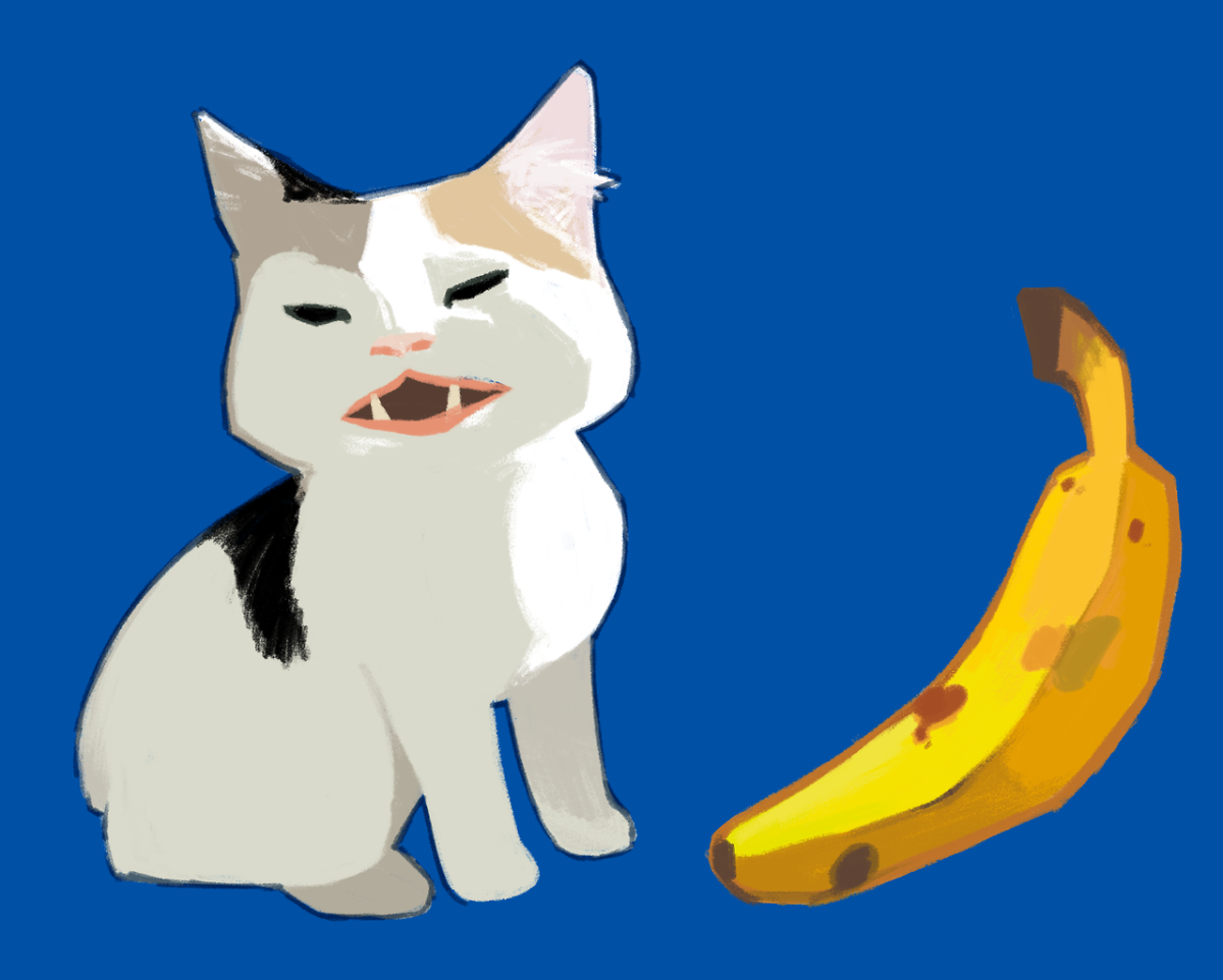 Кот банан