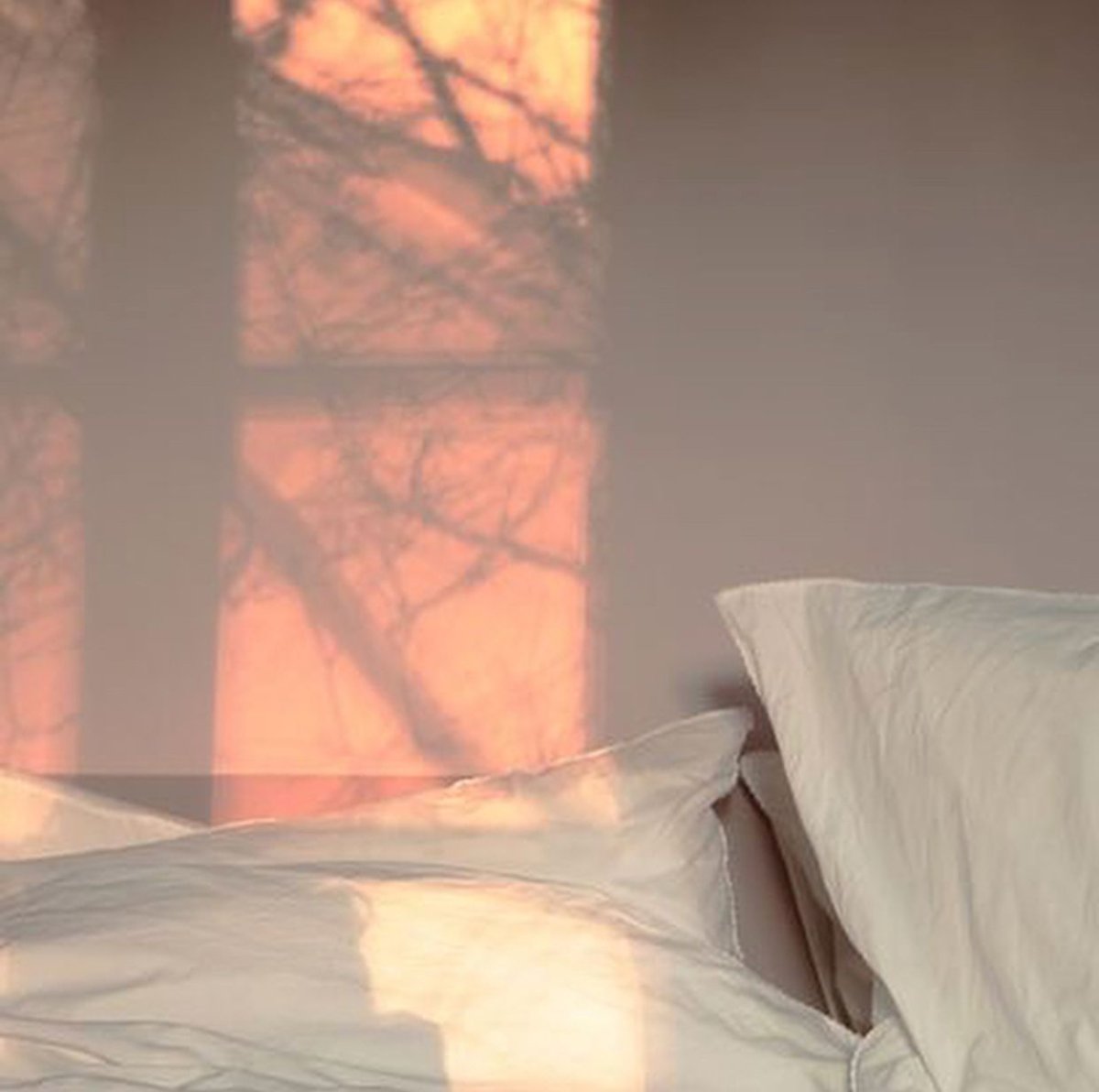 Светлая Эстетика