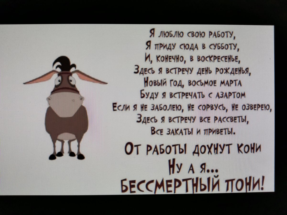 Стишок про Бессмертного пони
