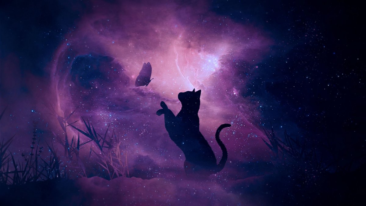 Космическая кошка арт