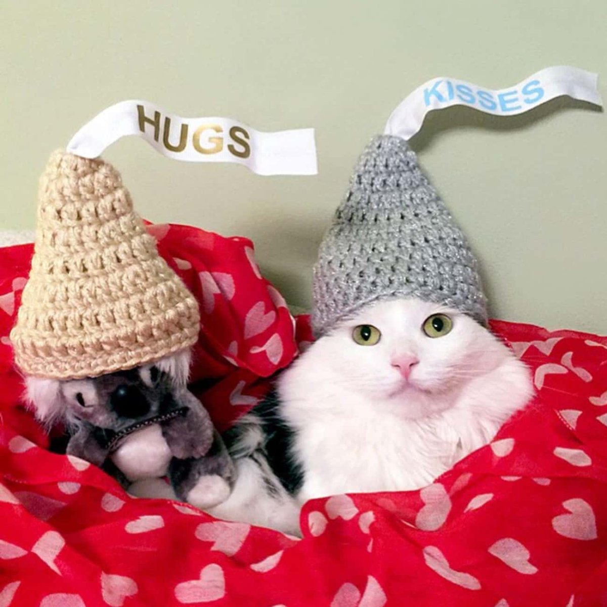 Котик в шапочке конфетки
