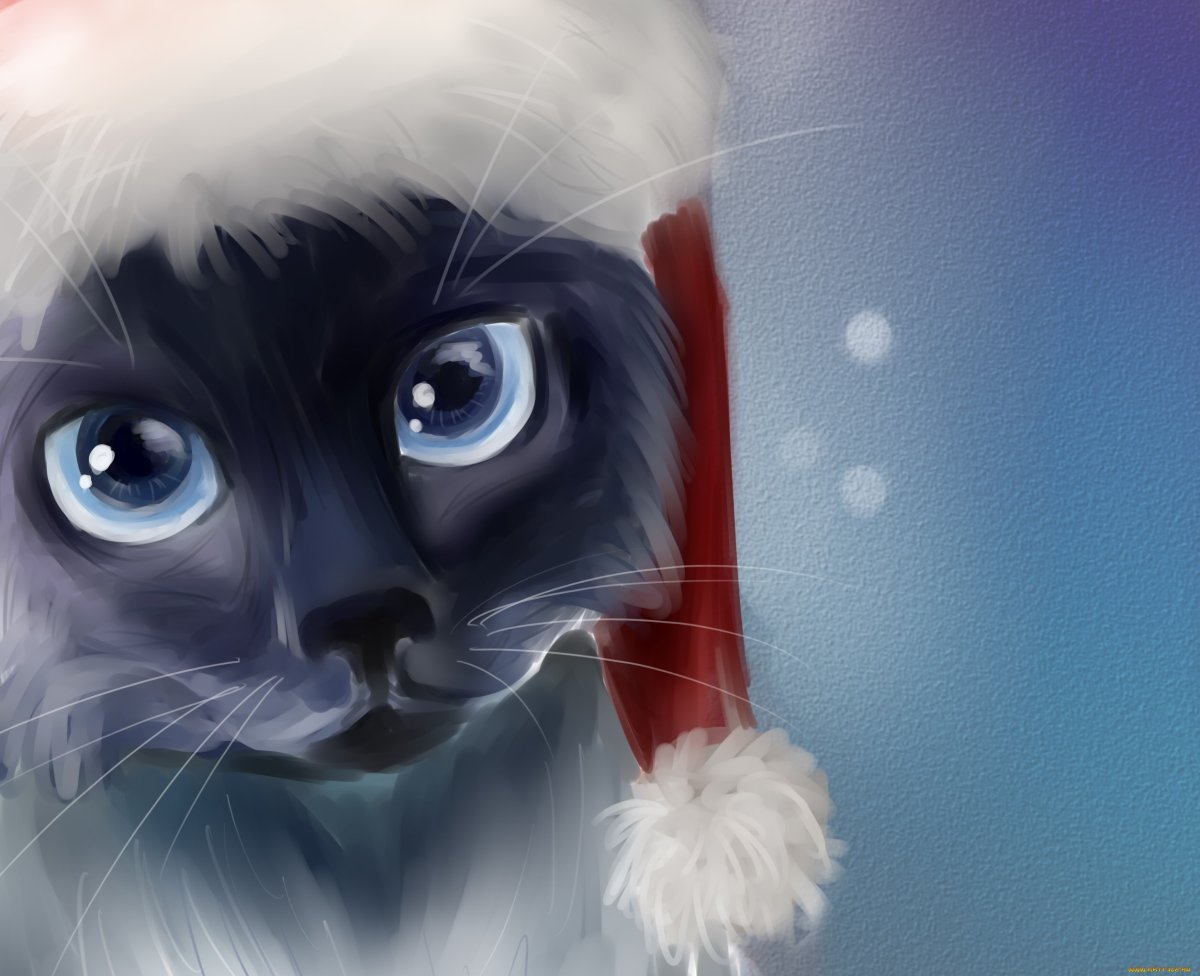 Новогодний котик арт
