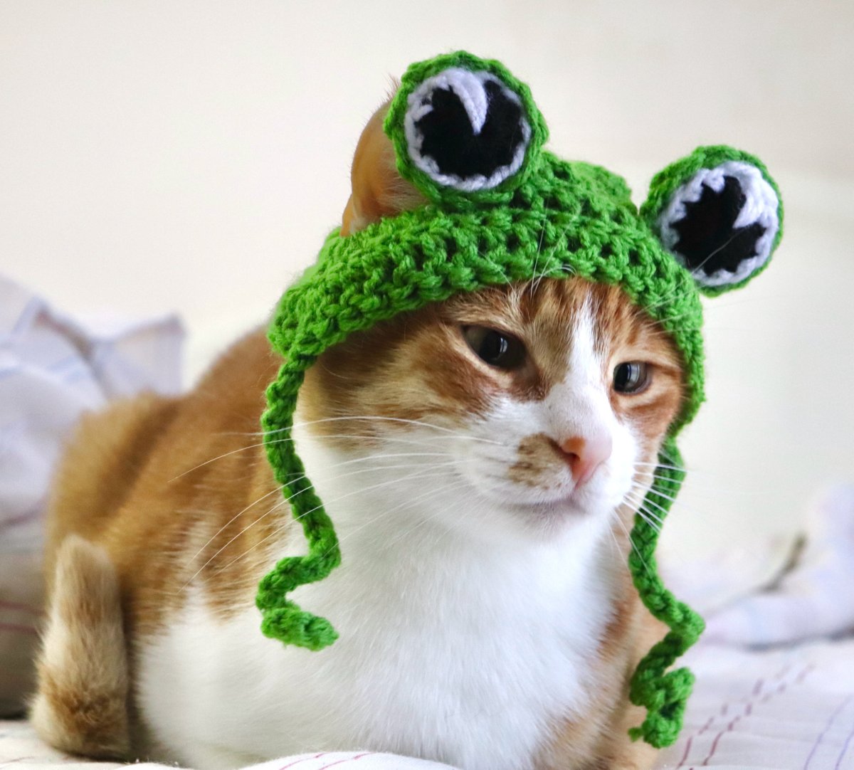 Шапка лягушка для кота крючком