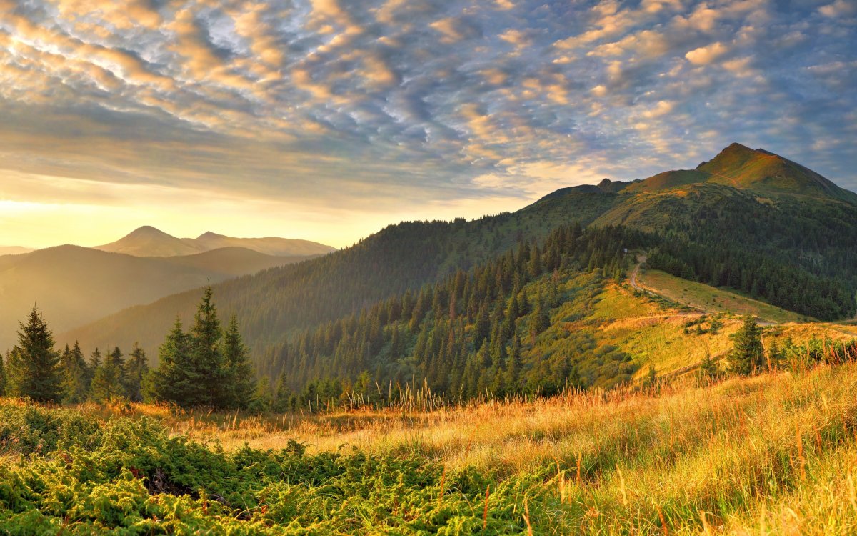Карпаты, Урал, Алтай.