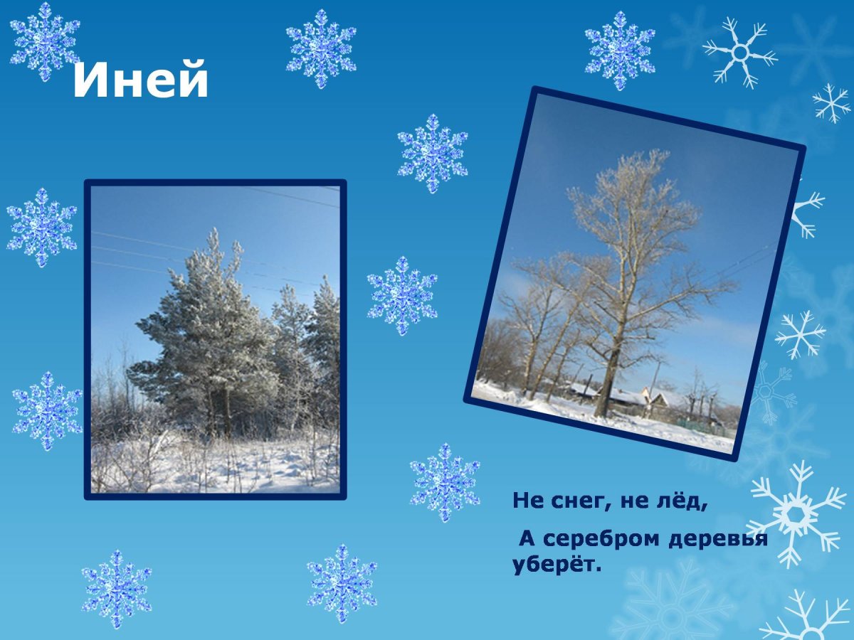 Окружающий мир тема зима
