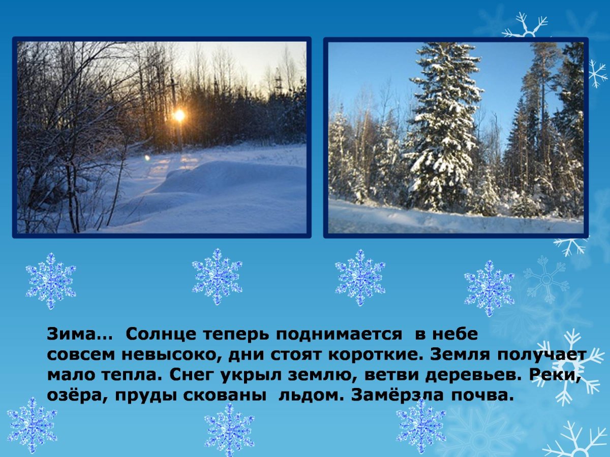 Презентация о зиме 2 класс