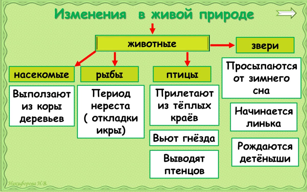 Изменения в живой природе