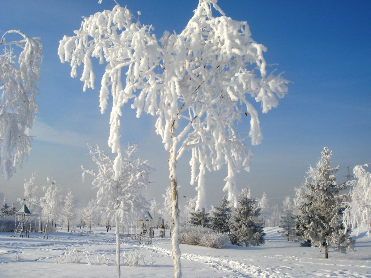 Явления природы иней