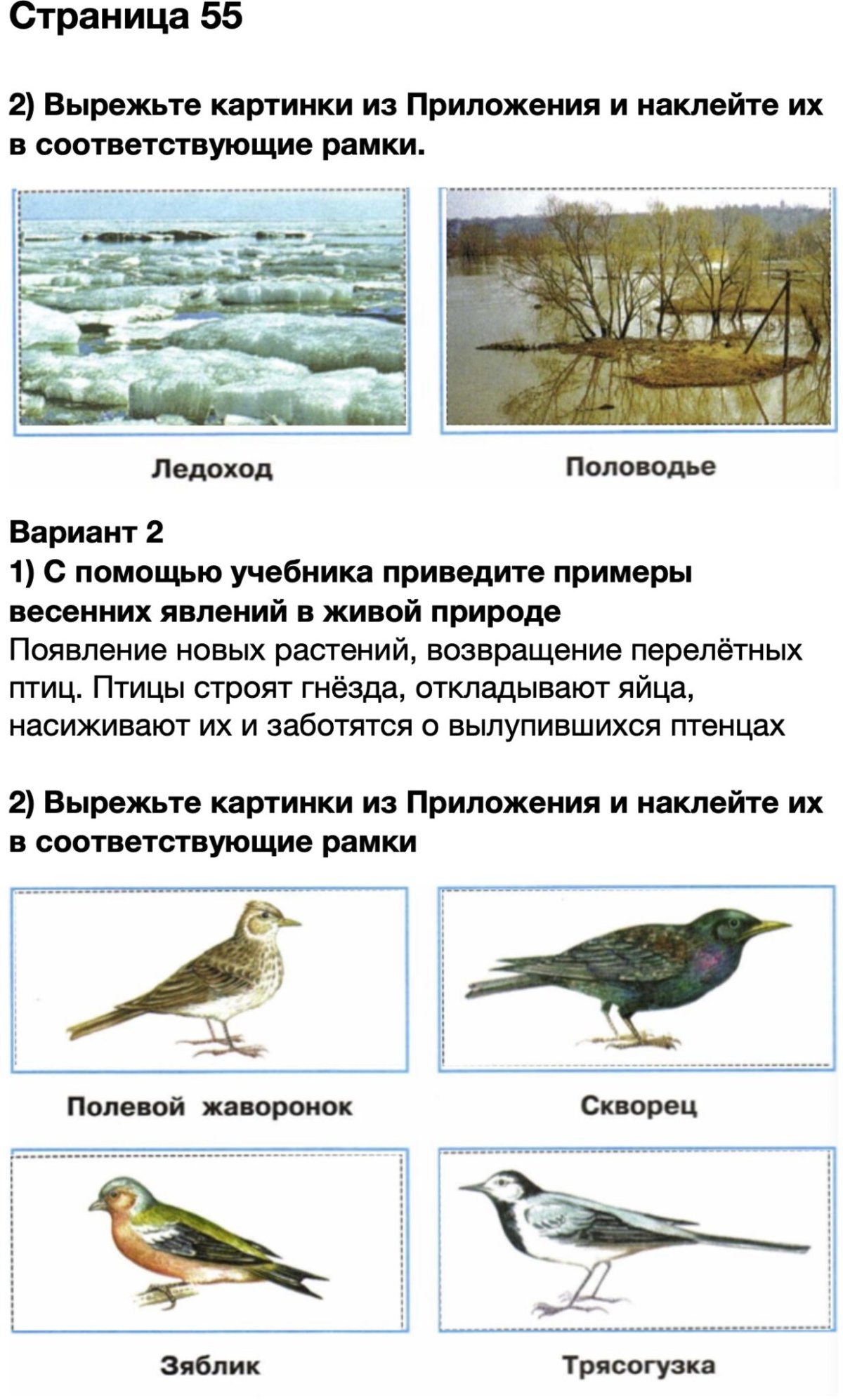 С помощью учебника приведи примеры