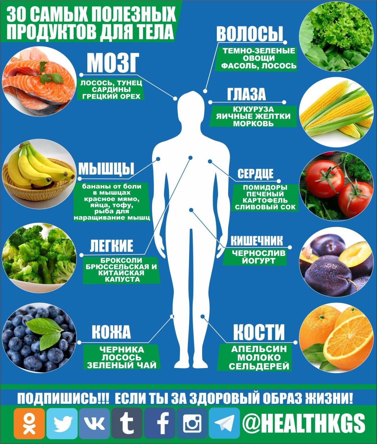 Полезных продуктов для организма