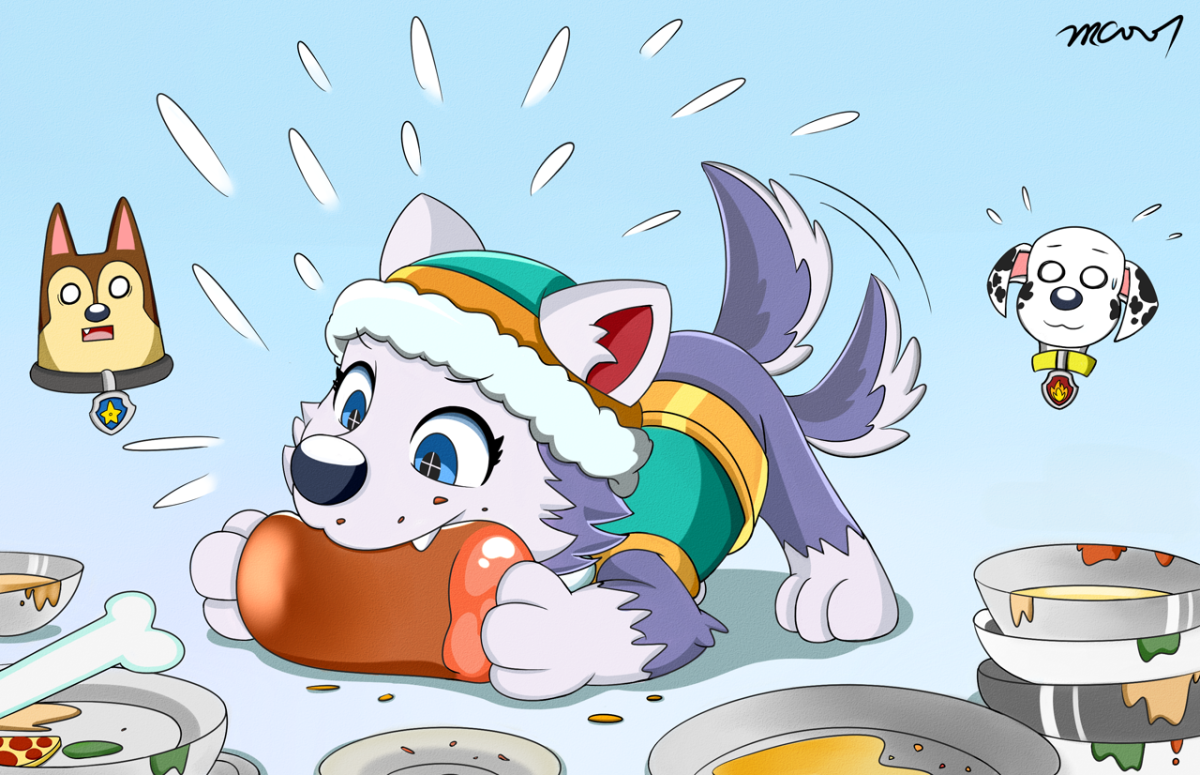 Paw Patrol Everest Art