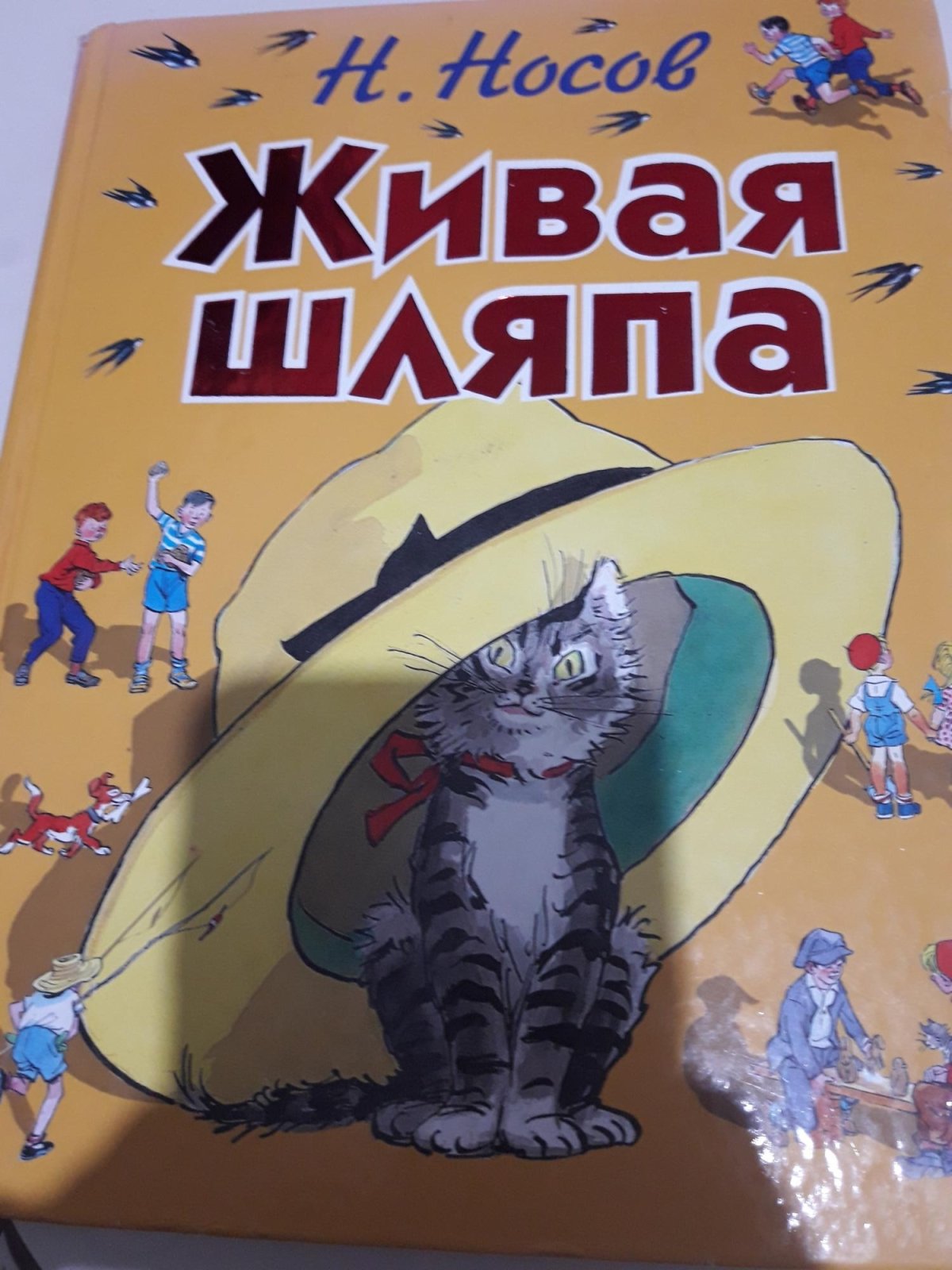 Живая шляпа план