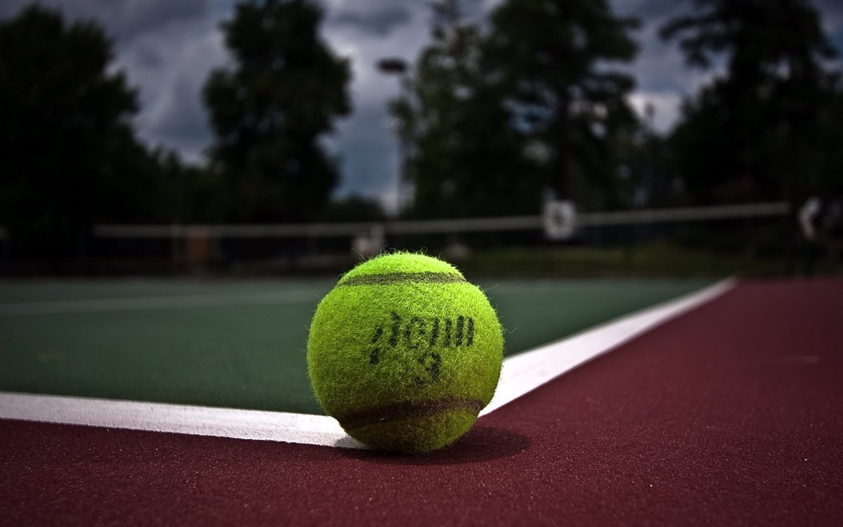 Теннисный мяч Tennis point