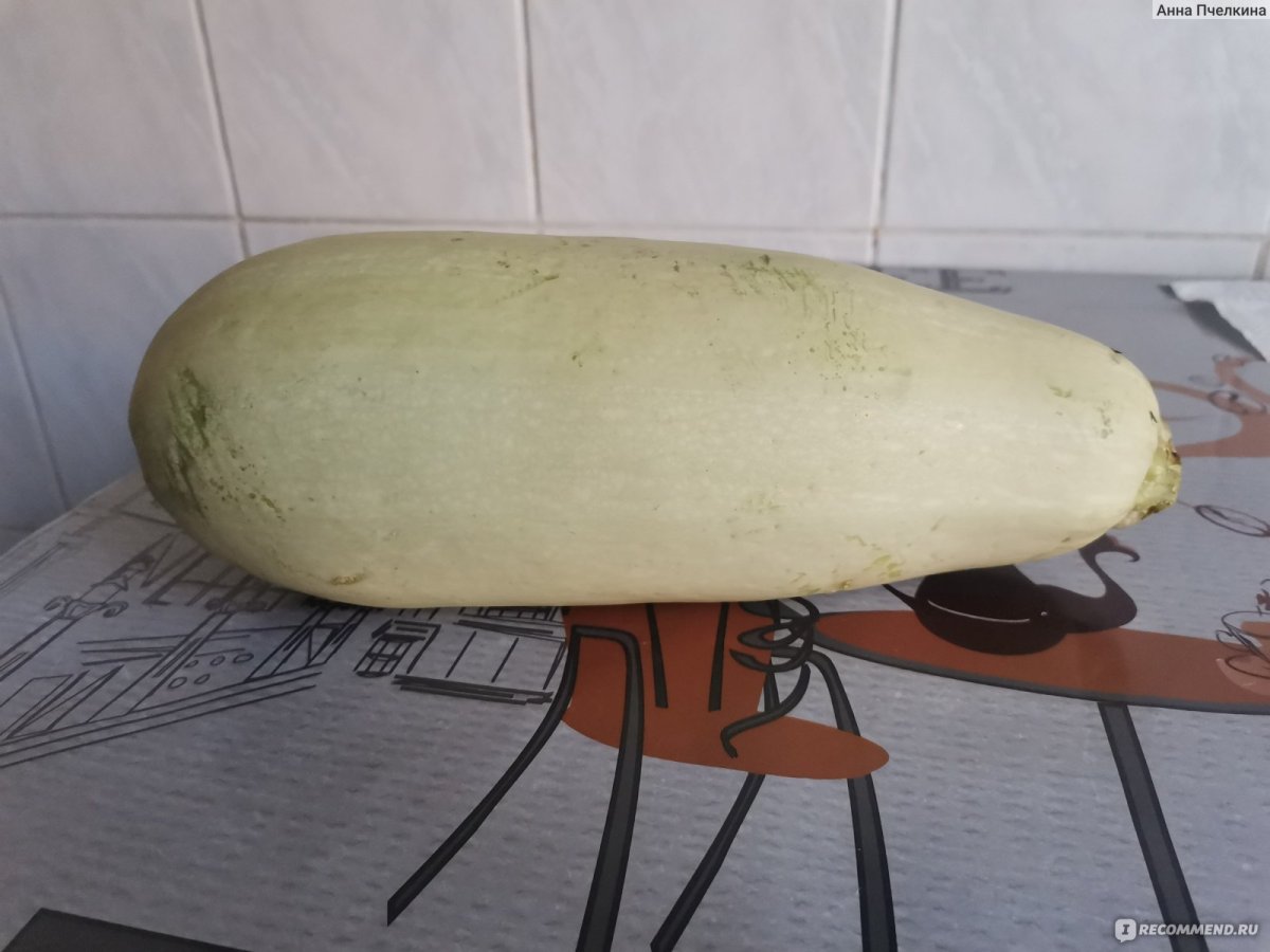 Хочу кабачок