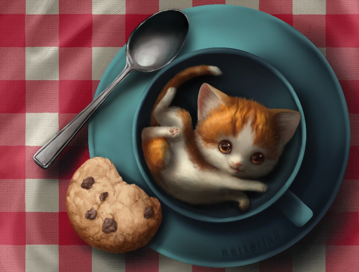 Котик с едой