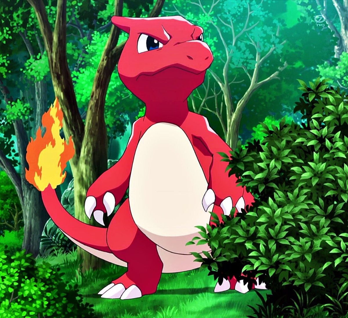 Pokemon Чармелеон
