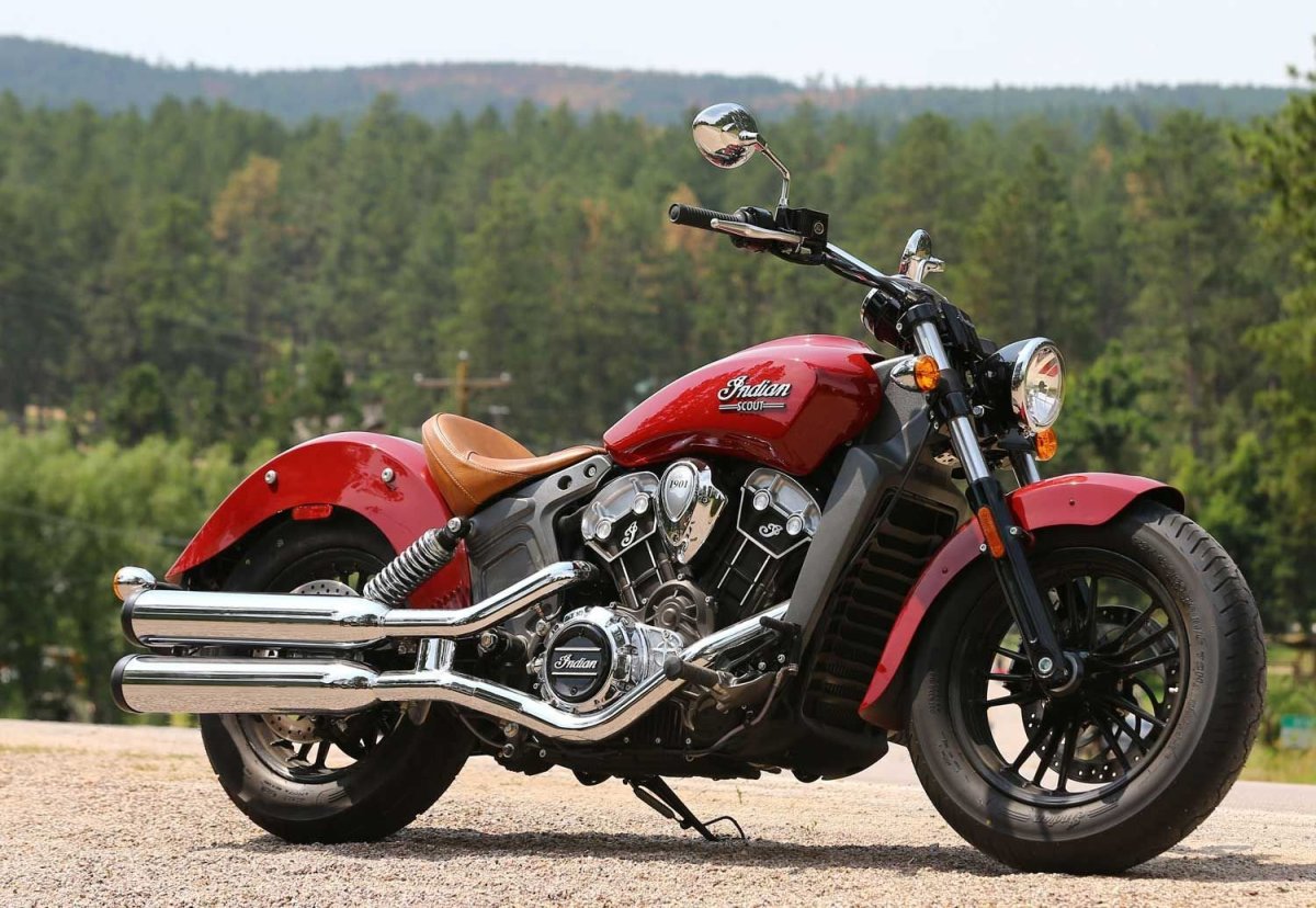 Indian Scout 2015