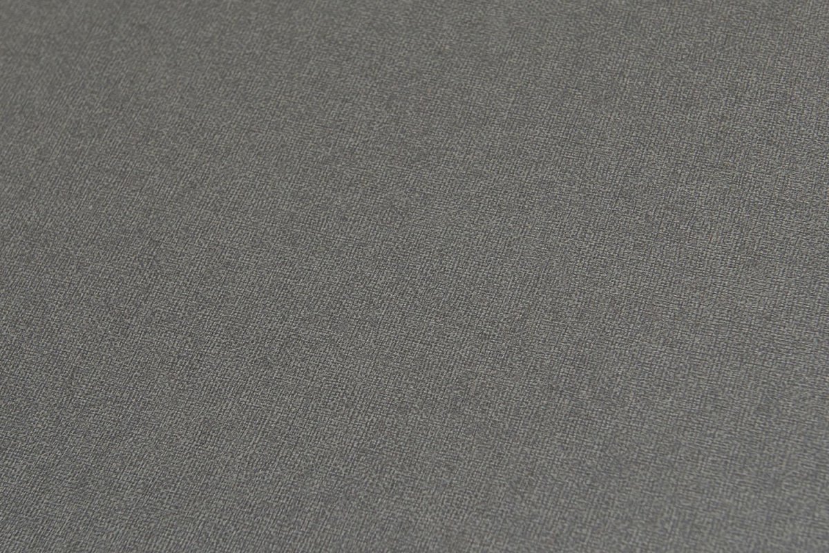 Es581 Sleeksilver