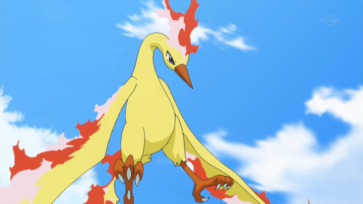 Pokemon Молтрес