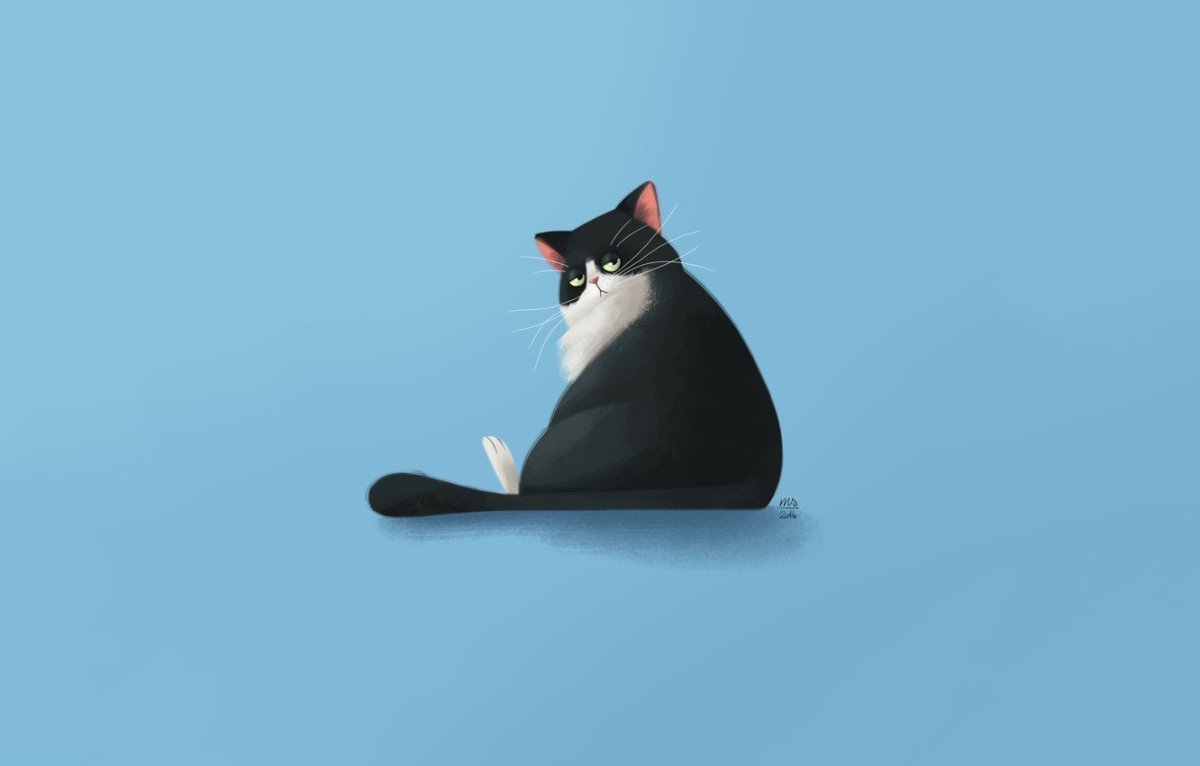 Кот Минимализм