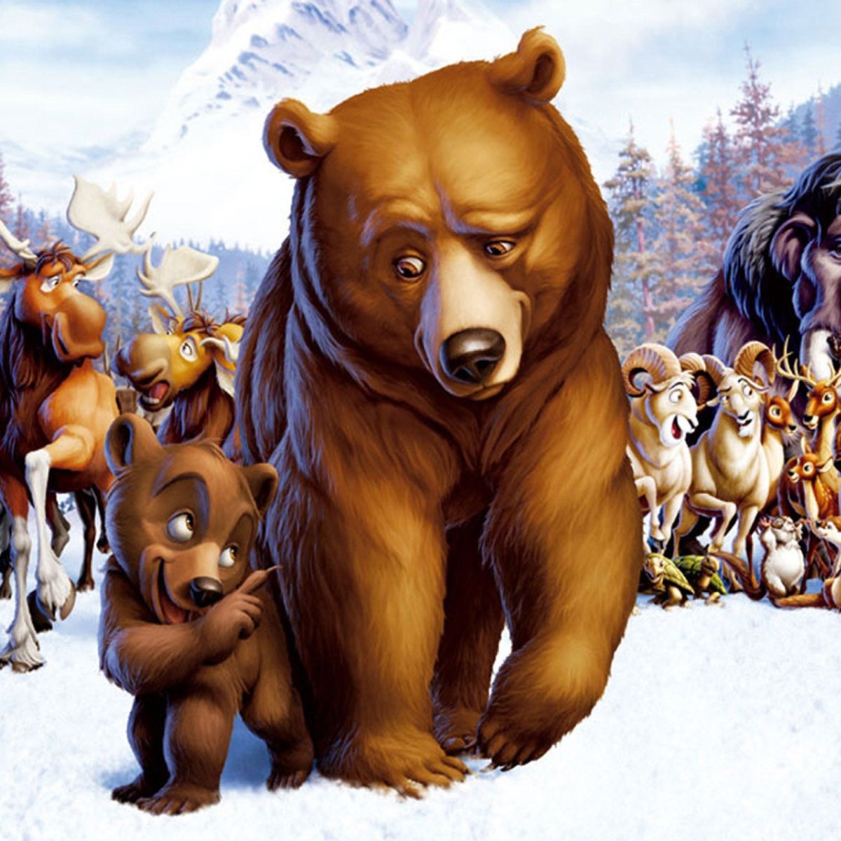 Братец Медвежонок 2003