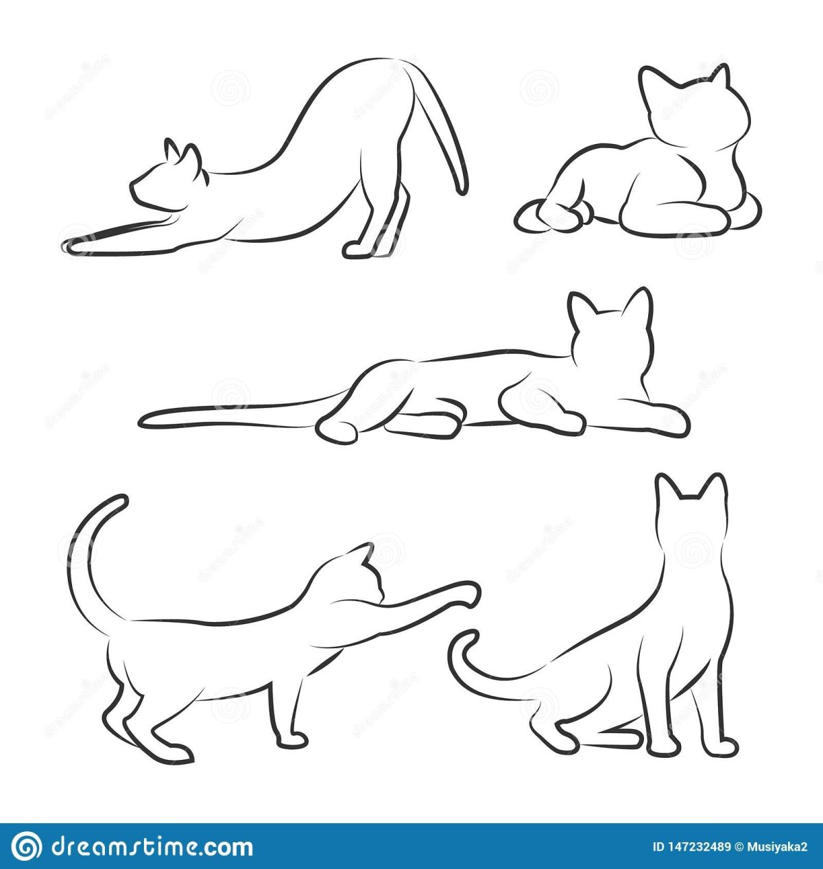 Эскиз кота в разных позах