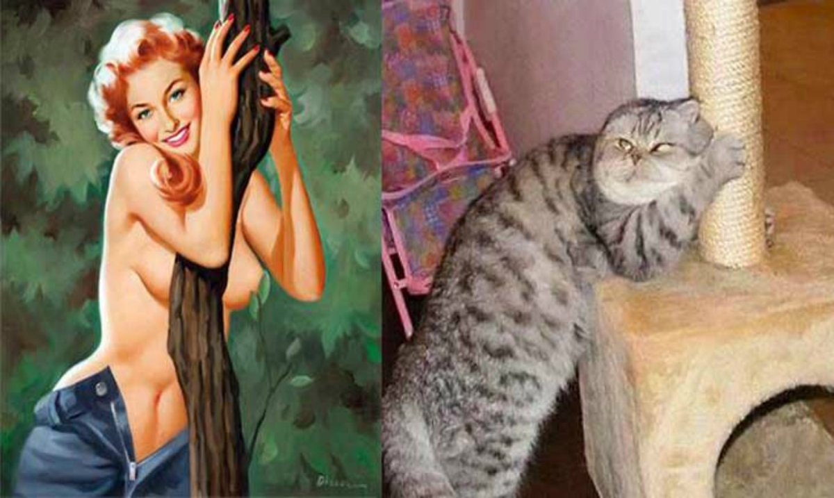 Девочка в позе кошки
