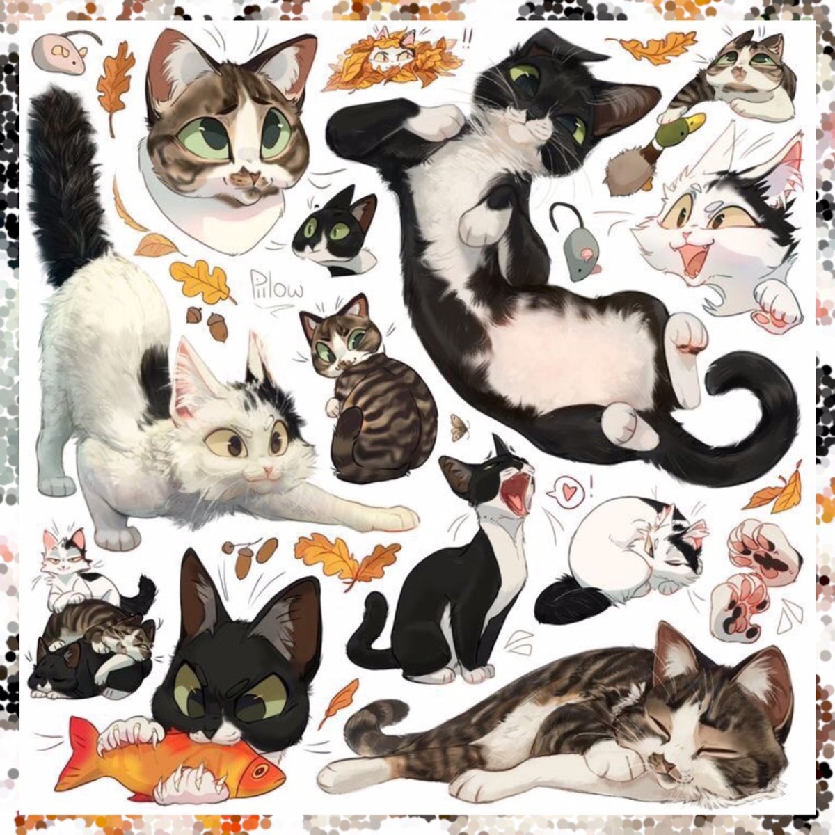 КОТОСТРАНИЧКА