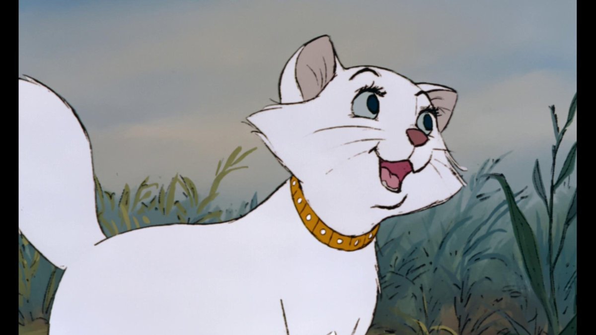 Коты Аристократы Duchess